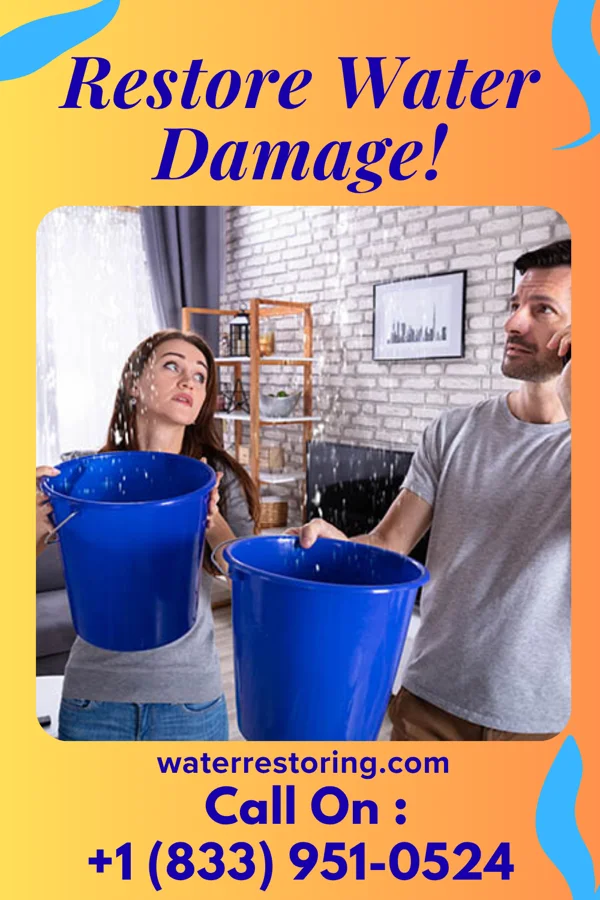 water restoration Stellar Water Cleanup Company Wyndmoor