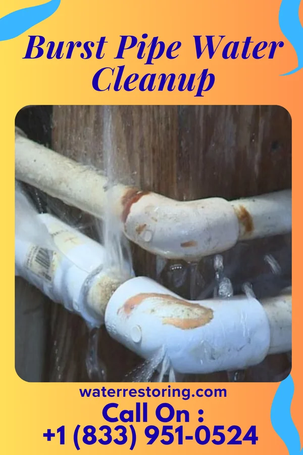 Burst Pipe Water Cleanup in Wyndmoor, PA