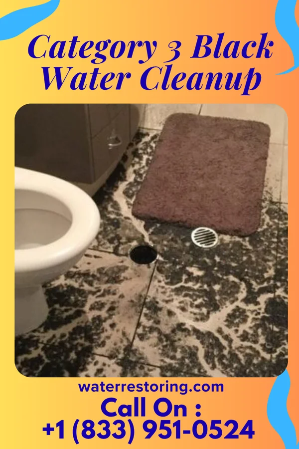 Category 3 Black Water Cleanup in Wyndmoor, PA