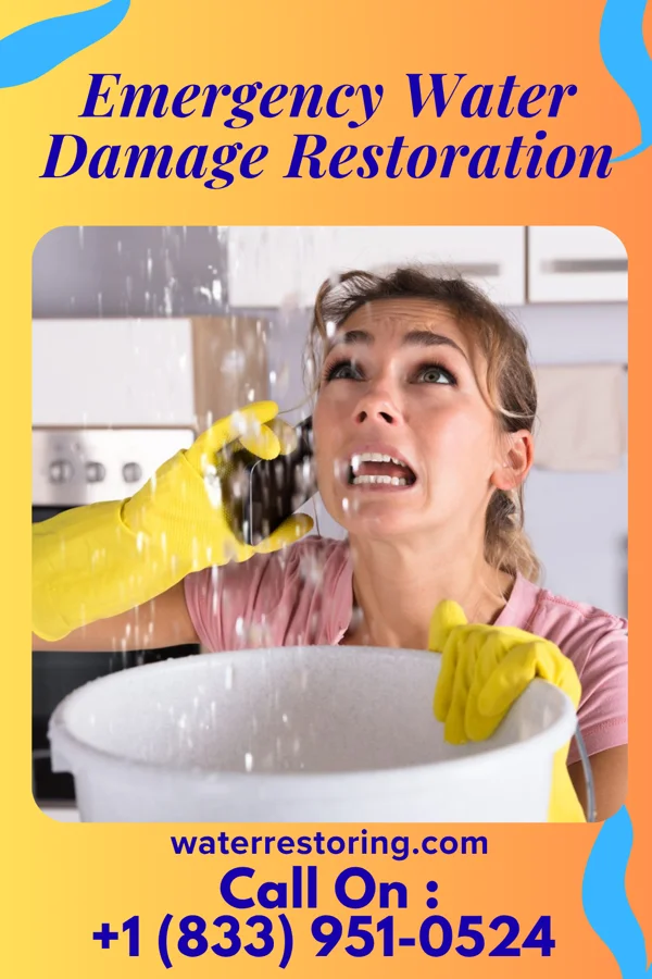 Emergency Water Damage Restoration in Wyndmoor, PA