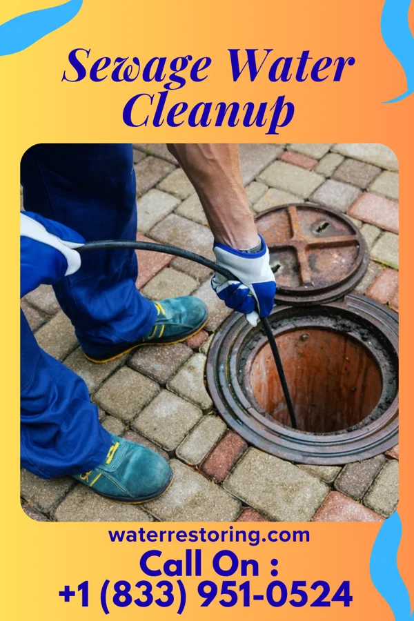 Sewage Water Cleanup in Wyndmoor, PA
