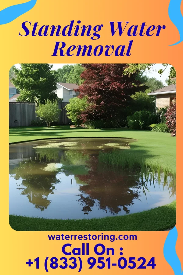 Standing Water Removal in Wyndmoor, PA
